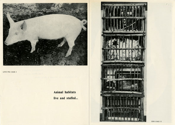 Animal habitats live and stuffed, catalogo della mostra di Richard Serra, Galleria La Salita, Roma, 24 maggio 1966
