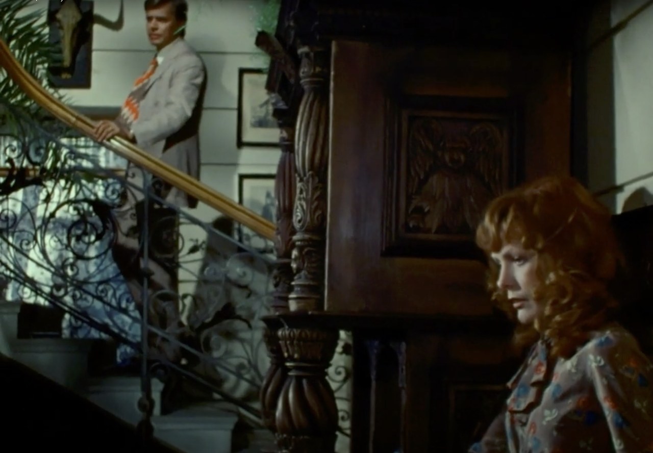 Fig. 4 Una scena di Martha (1974) - screenshot da terzi.
