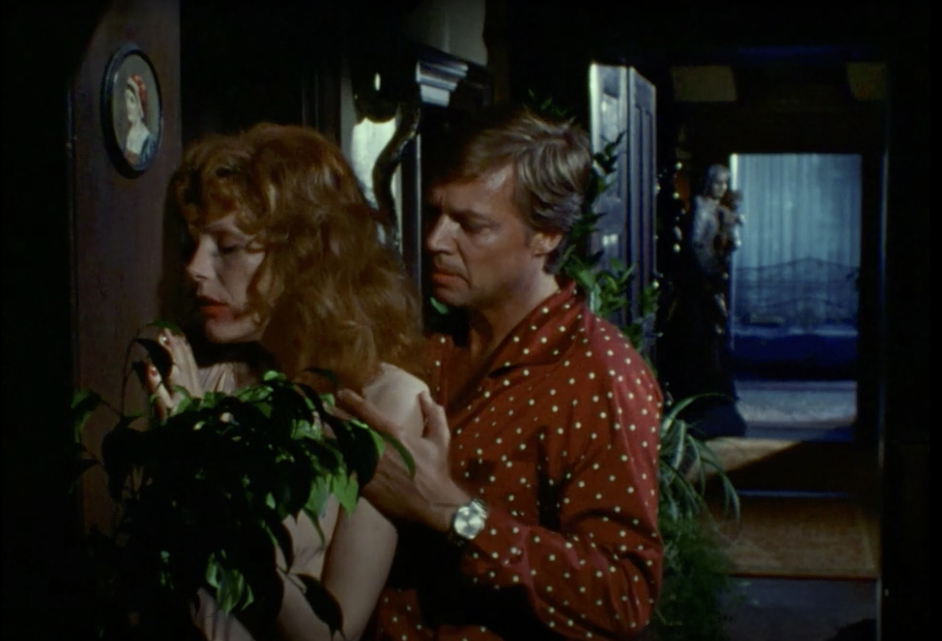Fig. 5 Una scena di Martha (1974) - screenshot da terzi.
