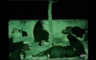 fig. 2 Michele Gandin, Le feste dei poveri, 1969. Screenshot da terzi.
