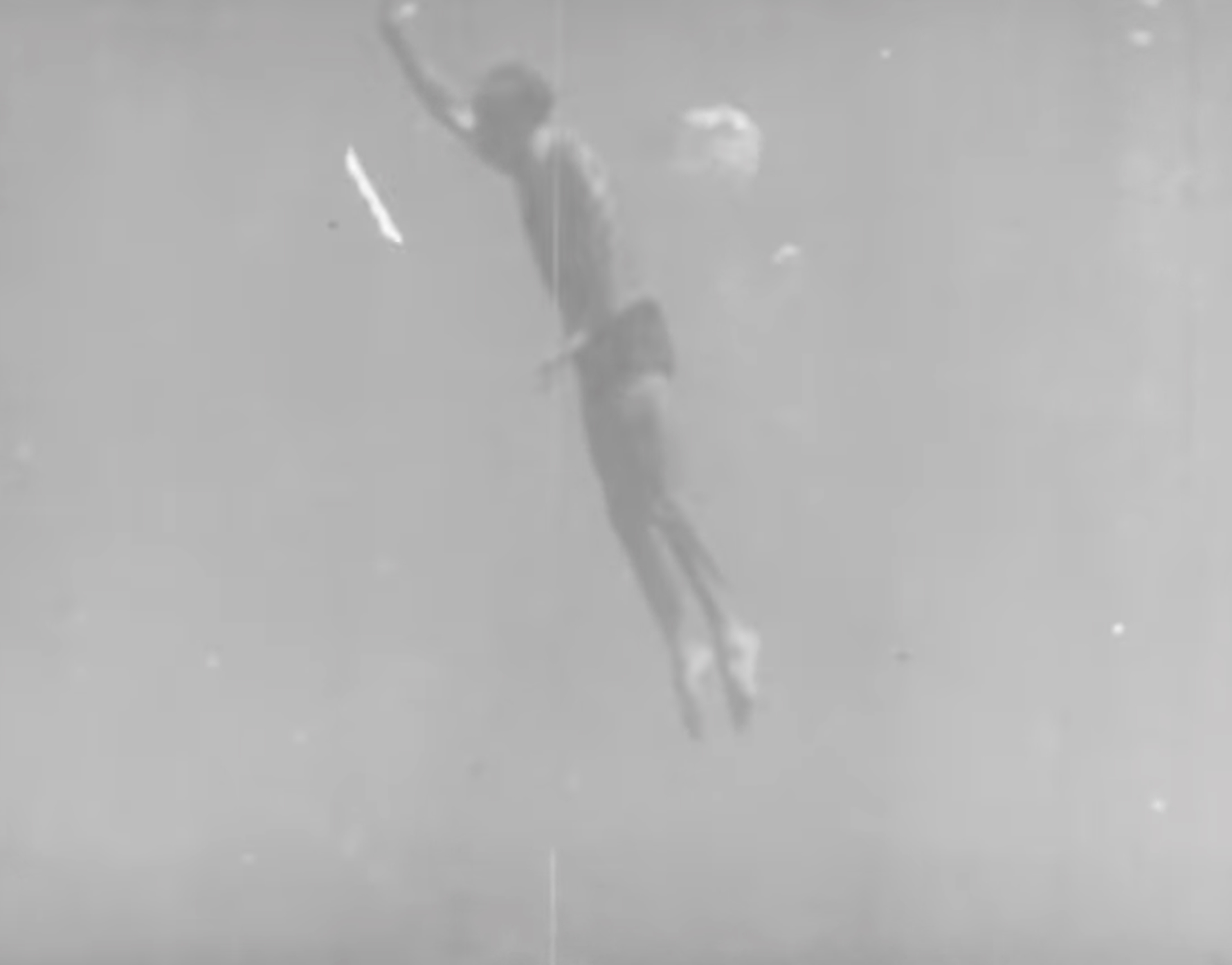 fig. 5 Pino Mercanti, Malacarne, 1948. Screenshot da terzi
