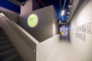 Fig. 4 Un&rsquo;immagine della mostra I sensi del giallo. Il corpo (del reato) tra inganno ed evidenza, a cura di Luisella Farinotti, Annalisa Pellino e Davide Rapp (Milano, Universit&agrave; IULM, 14 marzo-10 aprile 2025) &copy;Ufficio Comunicazione, Universit&agrave; IULM, Milano
