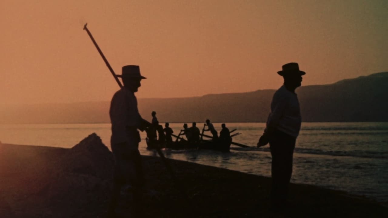 fig. 1 Vittorio De Seta, Lu tempu di li pisci spata, 1954. Screenshot da terzi
