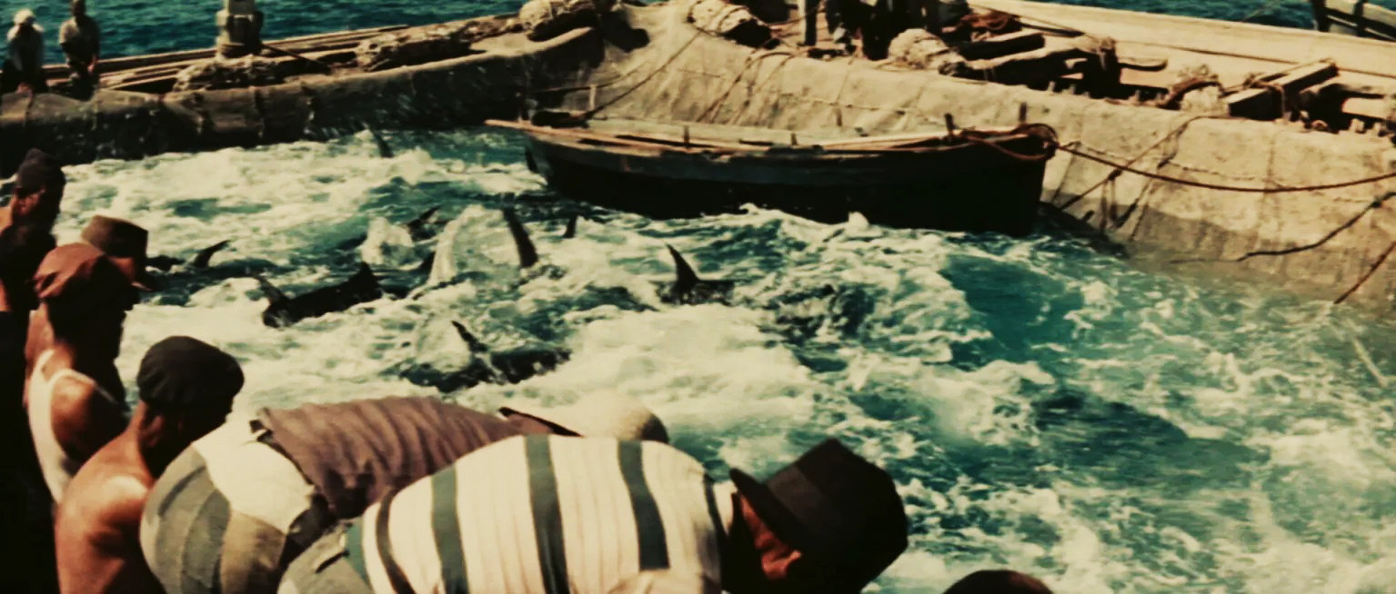 fig. 2 Vittorio De Seta, Contadini del mare, 1955. Screenshot da terzi

