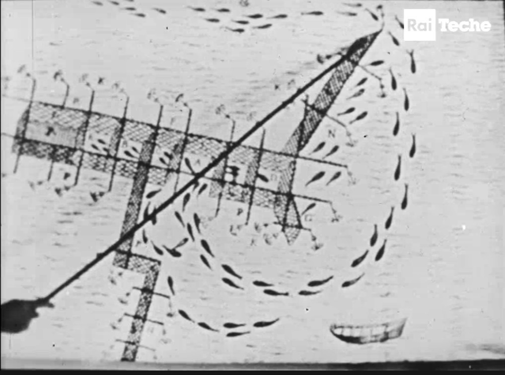 fig. 4 Carlo Alberto Chiesa, Isola di Favignana. Ripresa diretta da una tonnara, RAI, 1958. Screenshot da terzi
