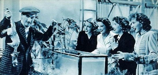 Fig. 7: Screenshot da terzi del film 4 ragazze sognano (di Guglielmo Giannini, 1943)

