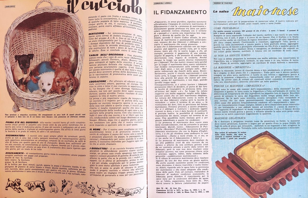 Fig. 2: Enciclopedia della donna, Milano, Fabbri Editori, 1963, pp. 70-71.

