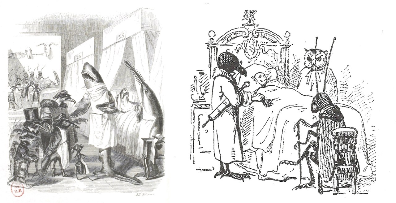 Fig. 2. Grandville,&nbsp;Les Animaux m&eacute;decins, illustrazione per&nbsp;Sc&egrave;nes de la vie priv&eacute;e et publique des animaux&nbsp;(1840); a destra Enrico Mazzanti,&nbsp;I tre medici, illustrazione da&nbsp;Pinocchio&nbsp;(1883)&nbsp;
