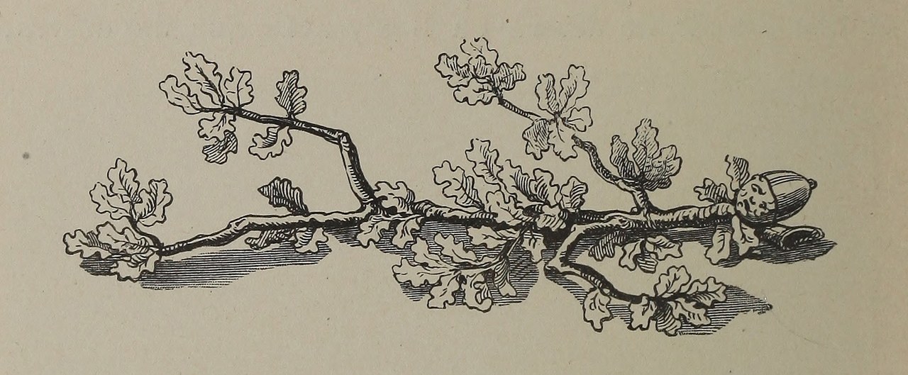 Fig. 3. Gribouille trasformato in un ramo, illustrazione da Maurice Sand, L&#39;histoire du veritable Gribouille, Paris, Blanchard-Hetzel, 1850, p. 70
