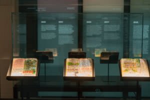 Fig. 2 Allestimento della mostra Orhan Pamuk. Parole e immagini, a cura di Edoardo Pepino (Fontanellato (PR), Labirinto della Masone di Franco Maria Ricci, 18 novembre 2023-17 marzo 2024) &copy;Labirinto della Masone
