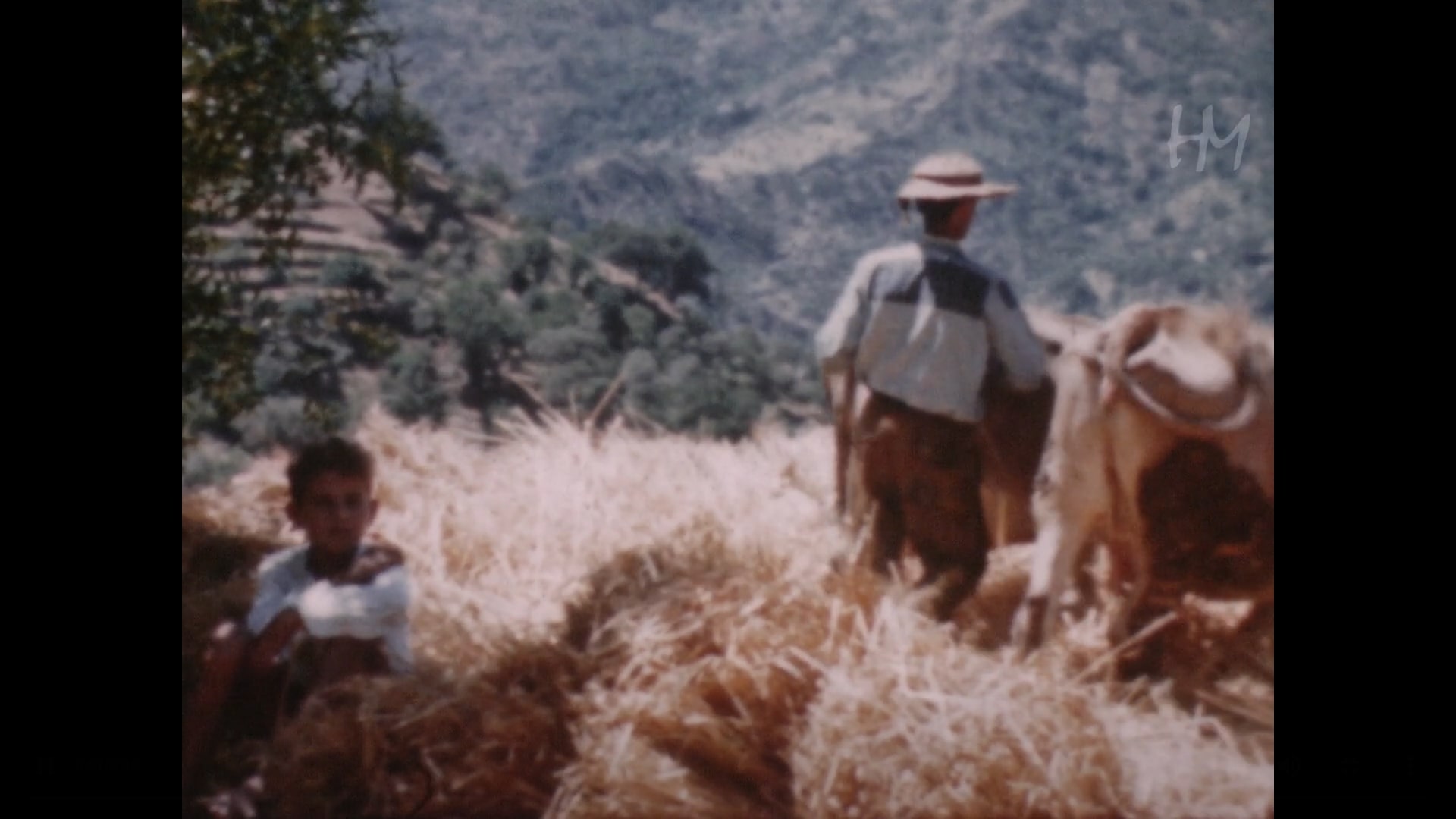 fig. 4 Un frame della clip Il piccolo contadino, Fondo Giuseppe Natoli, Messina, 1960, 8mm, HMNATOGIU-0027, Home Movies - Archivio Nazionale del Film
