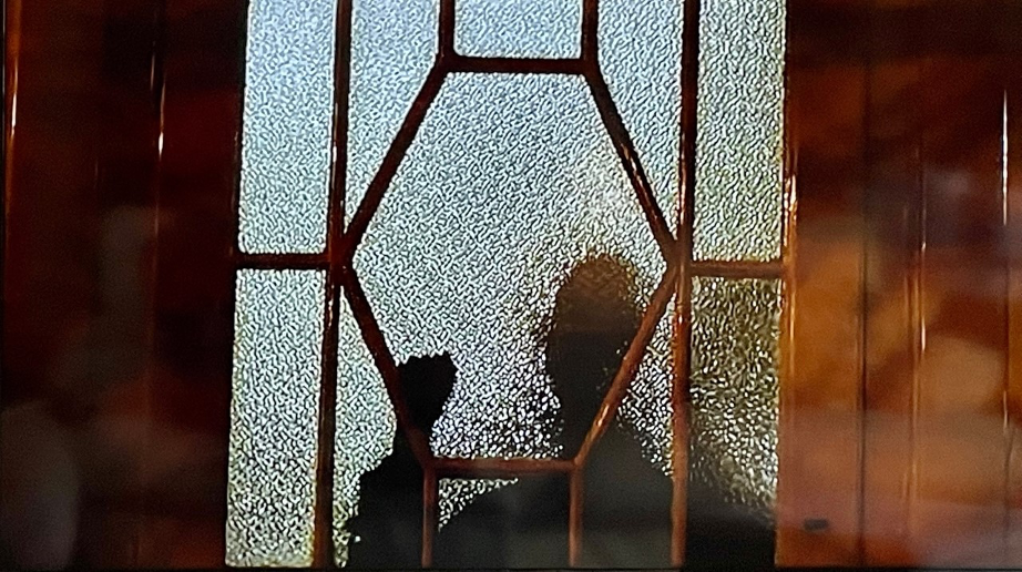 Fig. 7 Una scena di Un anno con tredici lune (1978) - screenshot da terzi.
