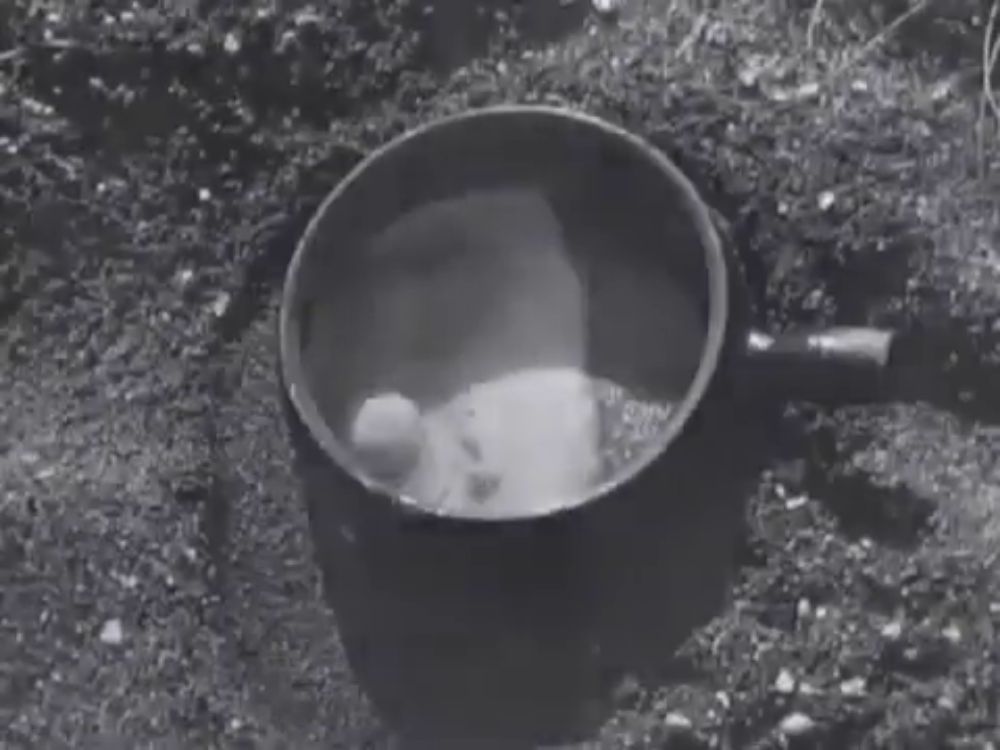 fig. 1 Francesco Alliata di Villafranca, Isole di cenere, 1947. Screenshot da terzi

