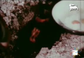 fig. 4 Ubaldo Magnaghi, I prigionieri del sottosuolo, 1956. Screenshot da terzi
