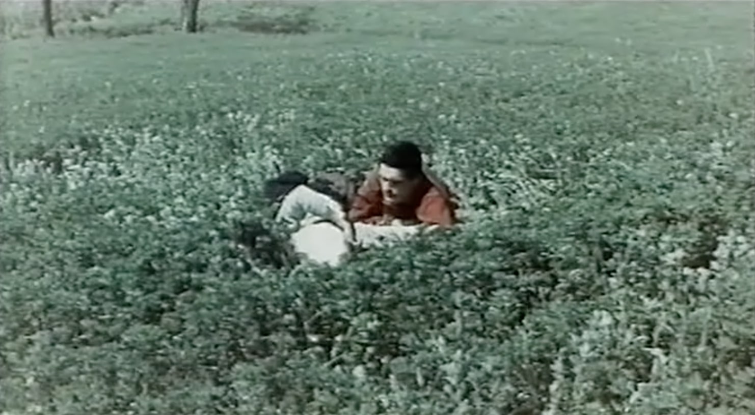 fig. 8 Mario Gallo, Dichiarazione d&rsquo;amore, 1961. Screenshot da terzi.
