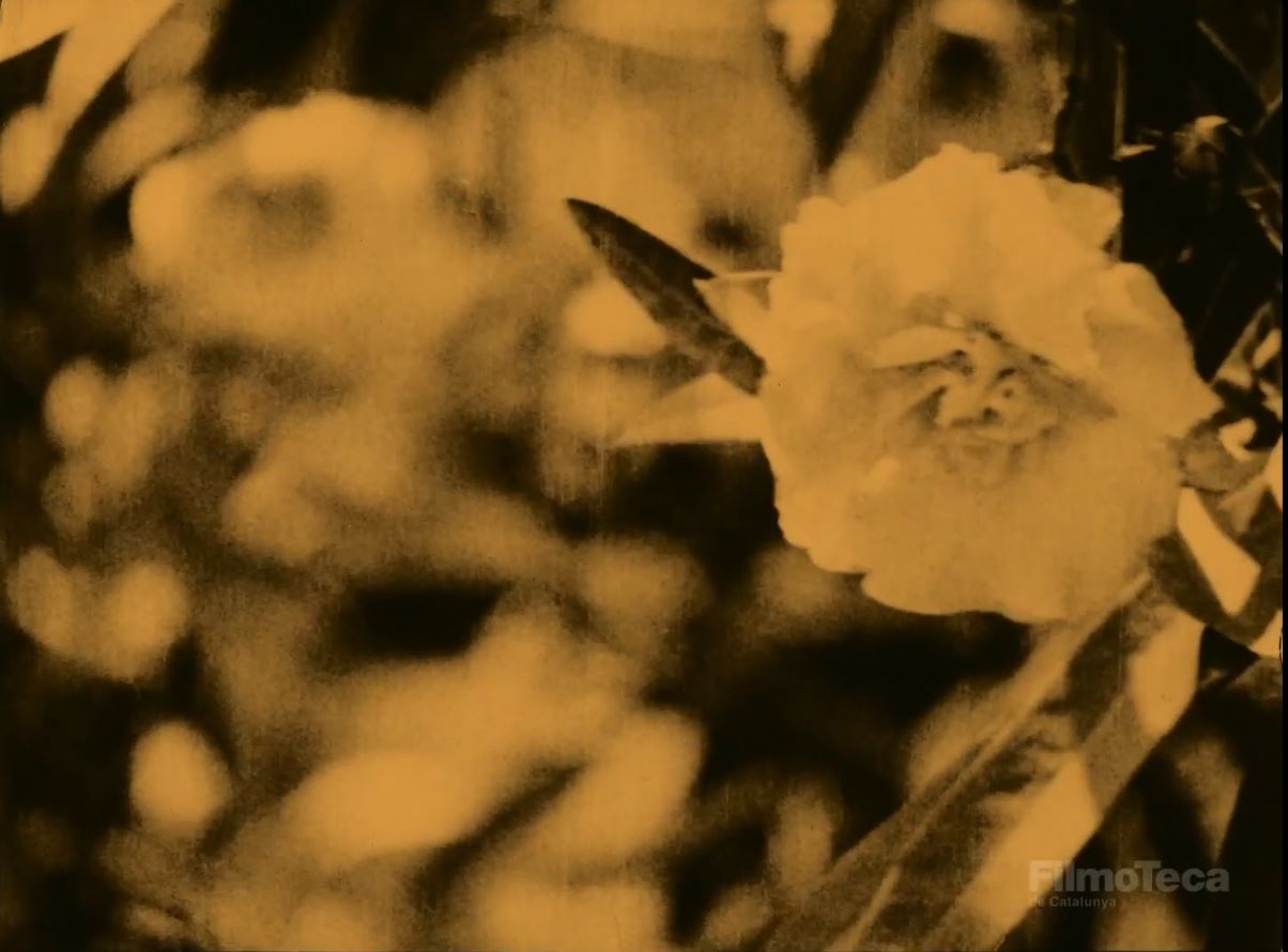fig. 2 Jean Epstein, La montagne infid&egrave;le, 1923, &copy;Filmoteca de Catalunya
