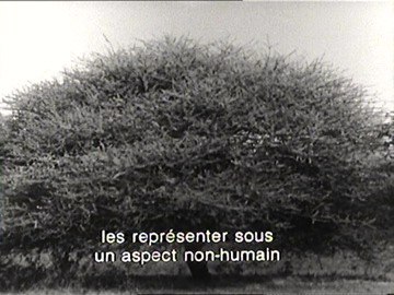Fotogramma da&nbsp;Appunti per un&rsquo;Orestiade africana&nbsp;(1970)
