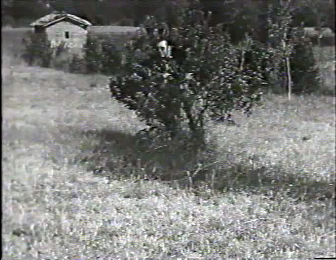 Giosetta Fioroni, fotogramma dal film Gioco, 1967 Giosetta Fioroni, fotogramma dal film Gioco, 1967