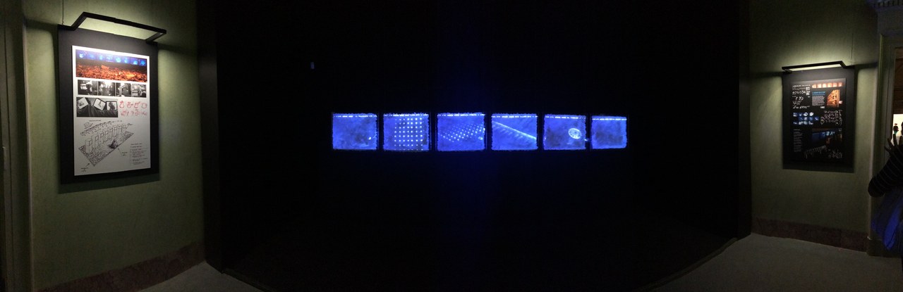  Studio Azzurro, Il giardino delle cose, versione 2016, Palazzo Reale