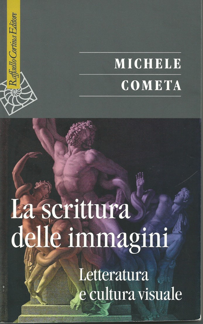 La scrittura delle immagini, Michele Cometa