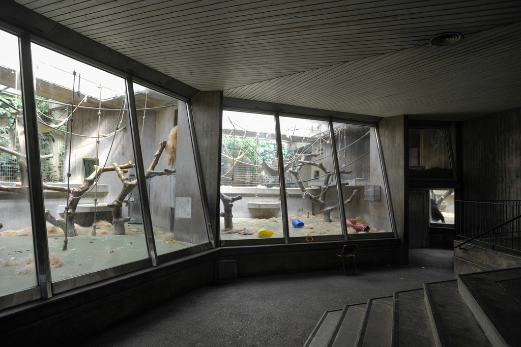 Basel Zoo, The Monkey House (1969). Come racconta in Ape Theatre, lo zoo di Basilea è uno dei giardini zoologici frequentanti da John Berger con i genitori Basel Zoo, The Monkey House (1969). Come racconta in Ape Theatre, lo zoo di Basilea è uno dei giardini zoologici frequentanti da John Berger con i genitori