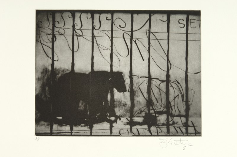 Fotogramma di Zeno Writing di William Kentridge Fotogramma di Zeno Writing di William Kentridge