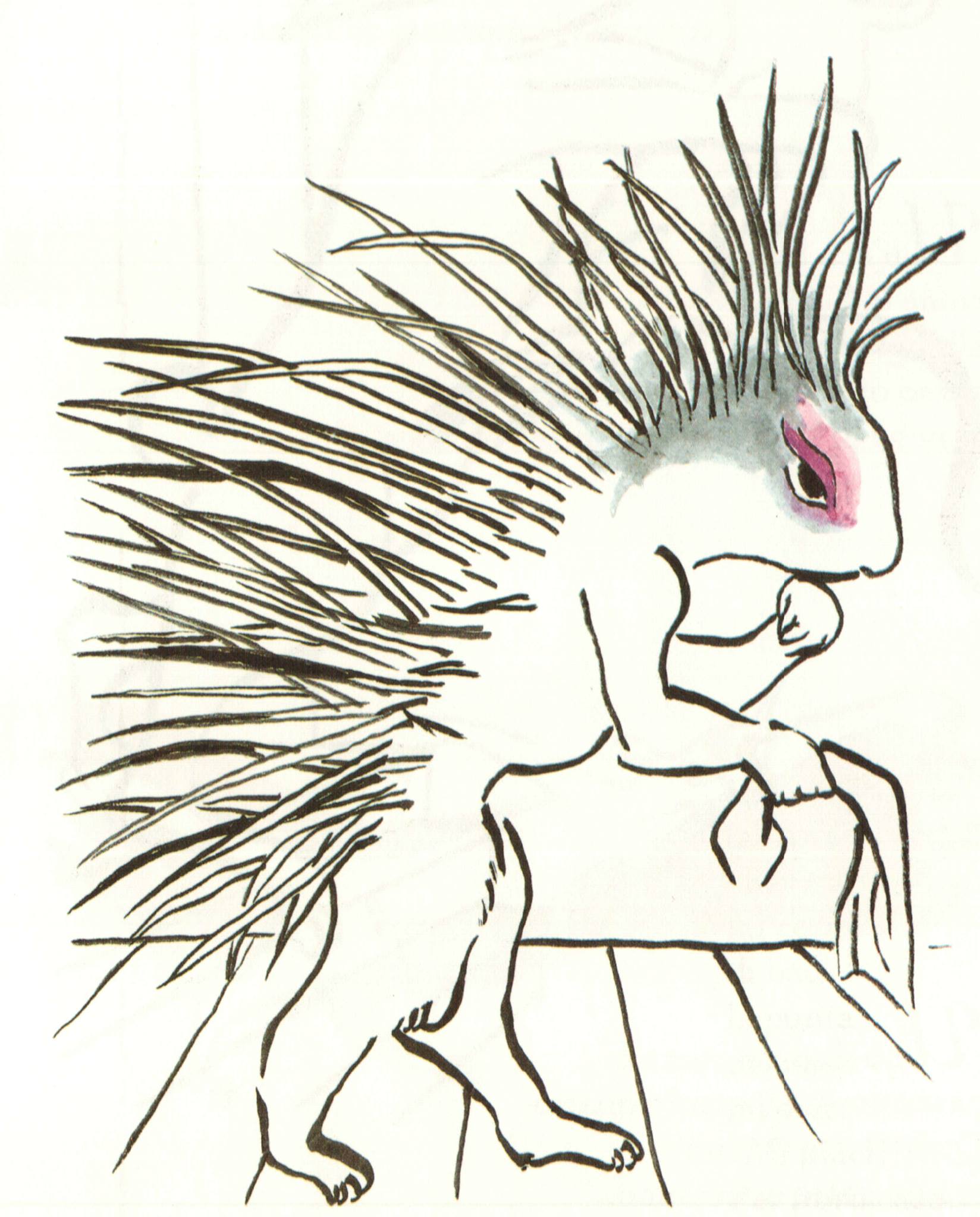Toti Sialoja, L’istrice attrice illustre Toti Sialoja, L’istrice attrice illustre