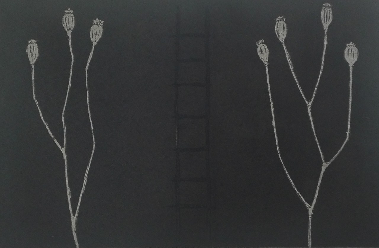Luca Mengoni, Oppio, 2006 Luca Mengoni, Oppio, 2006