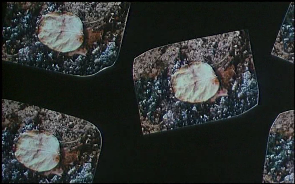 un fotogramma della sigla di apertura di Une minute pour une image (1983) © Ciné-Tamaris un fotogramma della sigla di apertura di Une minute pour une image (1983) © Ciné-Tamaris