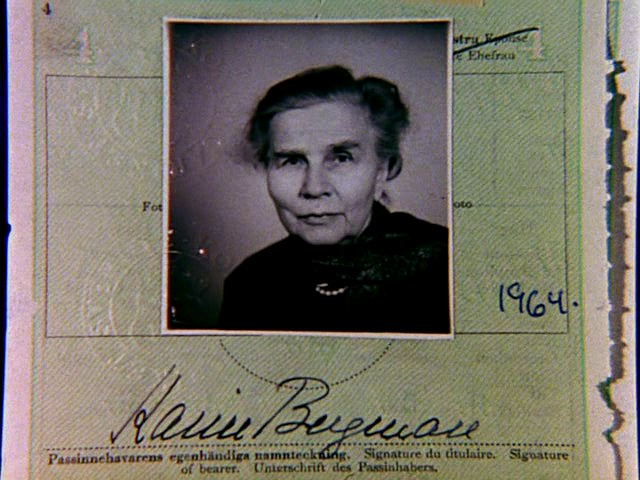 Il volto di Karin, I. Bergman, 1986: Carta d’identità di Karin Åkerblom