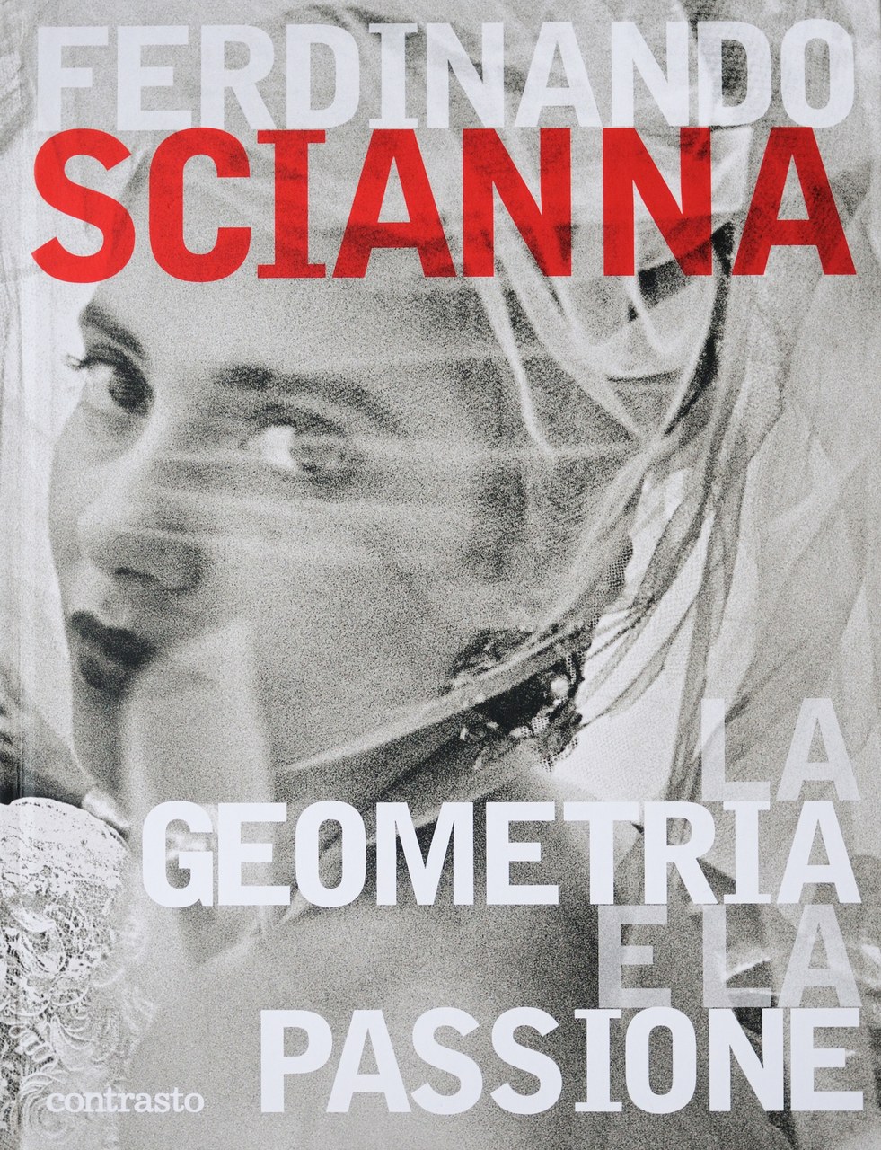 Copertina di La geometria e la passione, 2009 Copertina di La geometria e la passione, 2009