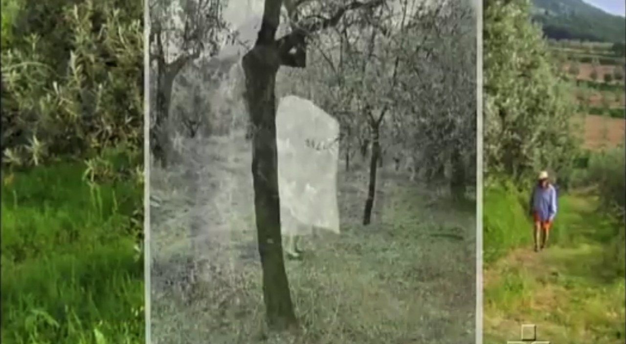 Fotogramma dal film The Woodmans (Scott Willis, 2010) Fotogramma dal film The Woodmans (Scott Willis, 2010)