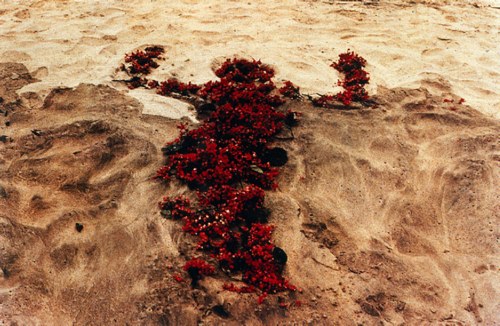 Ana Mendieta, Sin titulo (Siluetas), 1976 Ana Mendieta, Sin titulo (Siluetas), 1976
