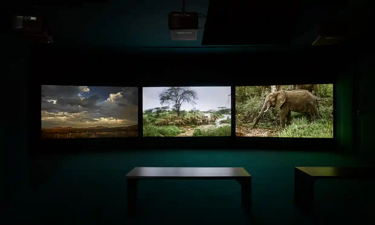John Akomfrah Four Nocturnes, 2019, Courtesy Smoking Dogs Films and Lisson Gallery John Akomfrah Four Nocturnes, 2019, Courtesy Smoking Dogs Films and Lisson Gallery