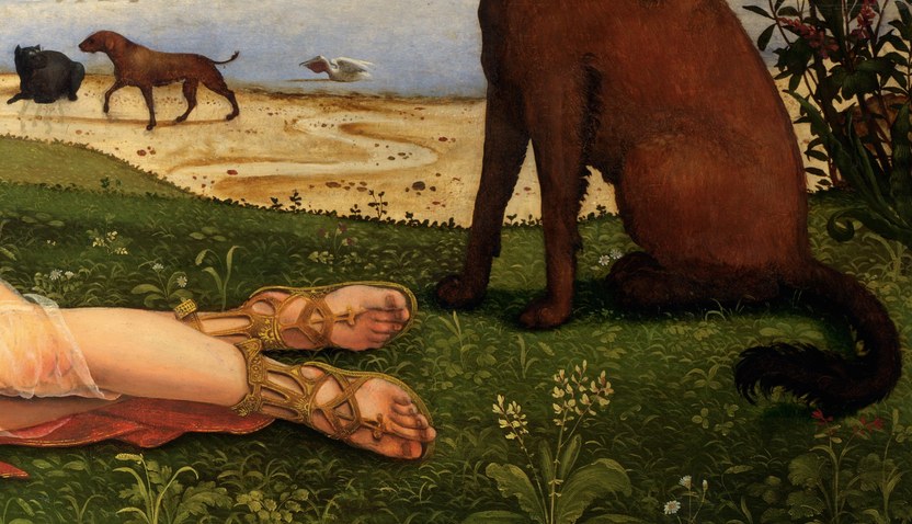 Piero di Cosimo, Morte di Procri, 1495, London, National Gallery Piero di Cosimo, Morte di Procri, 1495, London, National Gallery