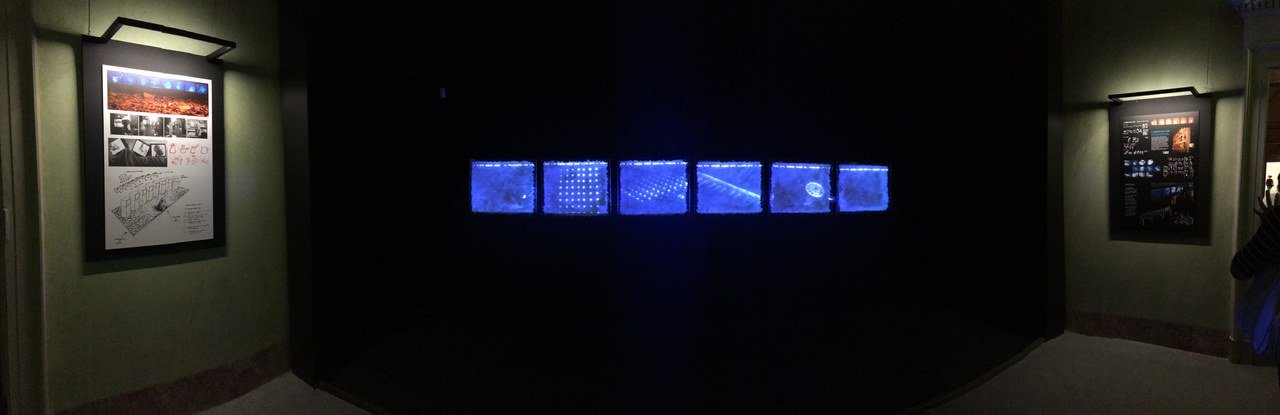 Studio Azzurro, Il giardino delle cose, versione 2016, Palazzo Reale Studio Azzurro, Il giardino delle cose, versione 2016, Palazzo Reale