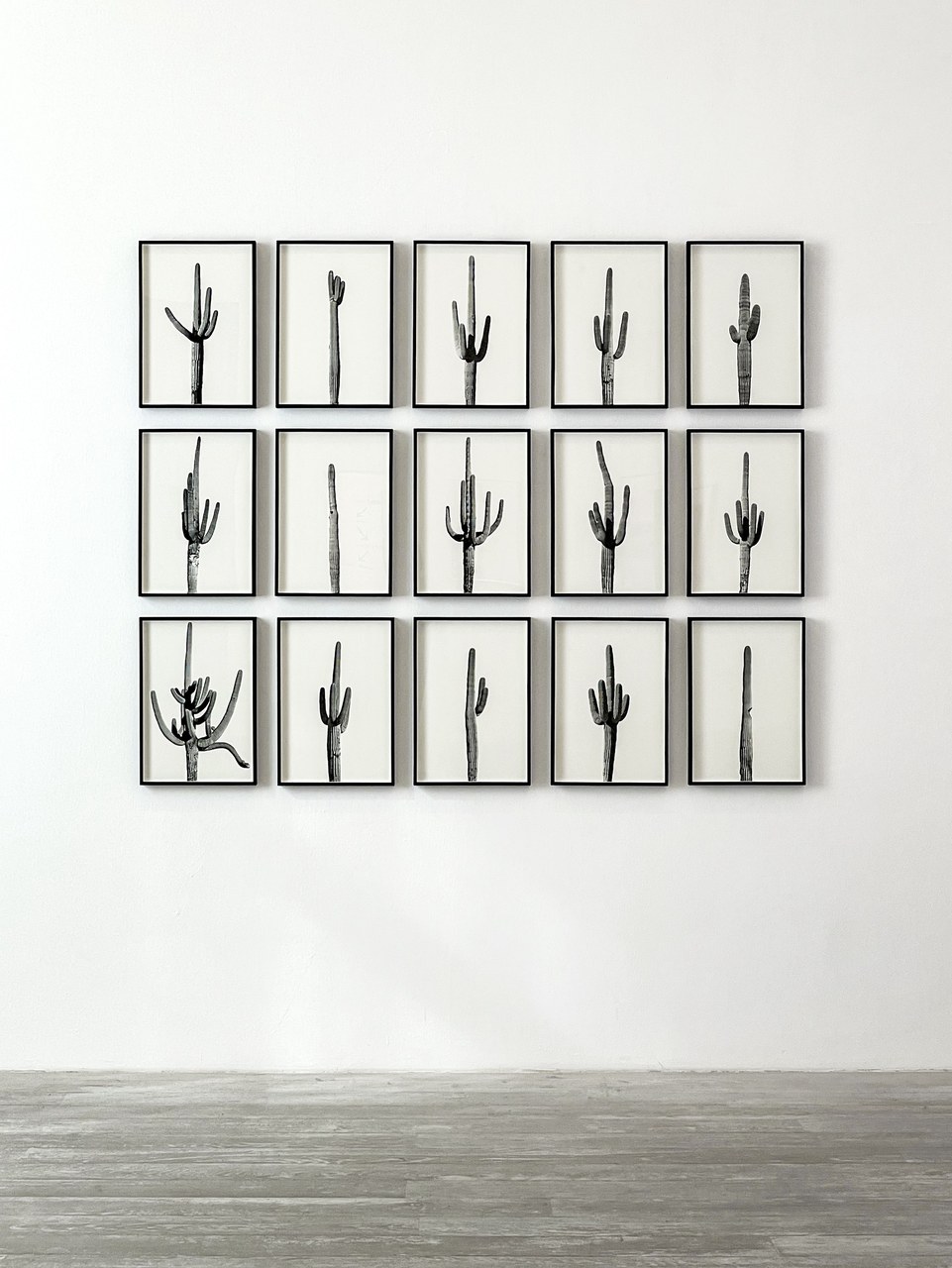 Adrien Missika, We didn’t Cross the Border, the Border Crossed Us, 2014, Serie di 16 stampe al laser con cornice di quercia, 49 x 34,2 x 3 cm. Courtesy dell’artista e dell’autrice © Pola Sieverding Adrien Missika, We didn’t Cross the Border, the Border Crossed Us, 2014, Serie di 16 stampe al laser con cornice di quercia, 49 x 34,2 x 3 cm. Courtesy dell’artista e dell’autrice © Pola Sieverding