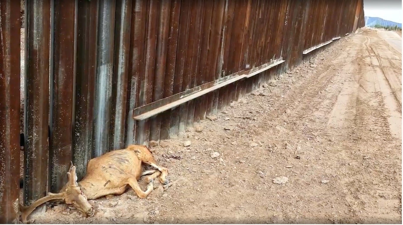 Daniel Lombroso, The American Scar, 2021, cortometraggio documentaristico, 13 min, fermo immagine Daniel Lombroso, The American Scar, 2021, cortometraggio documentaristico, 13 min, fermo immagine