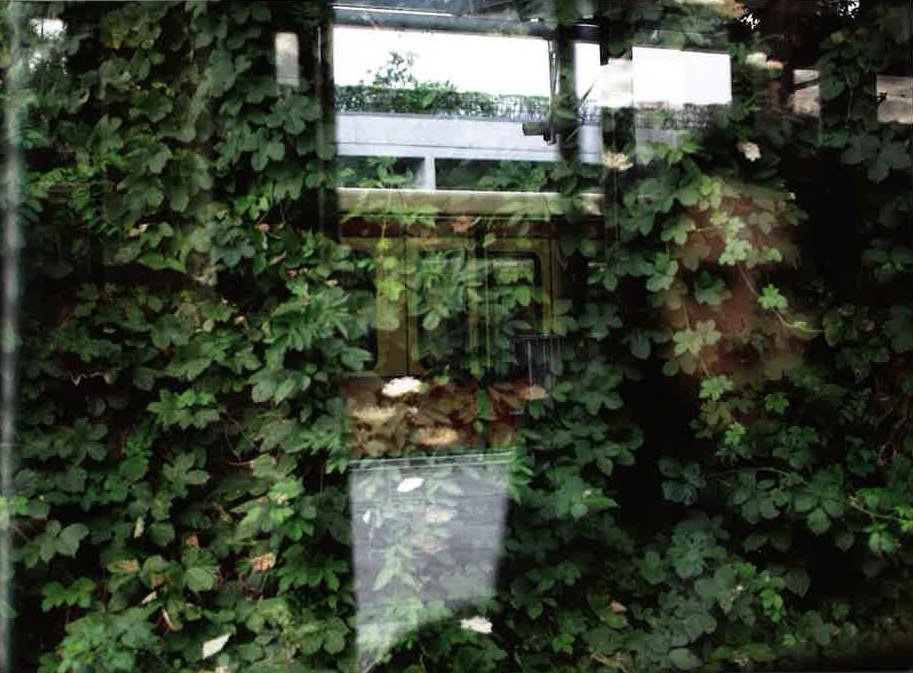 Photographie de Denis Cointe dans Marie NDiaye, Y penser sans cesse, Editions de l’Arbre vengeur, 2011 Photographie de Denis Cointe dans Marie NDiaye, Y penser sans cesse, Editions de l’Arbre vengeur, 2011