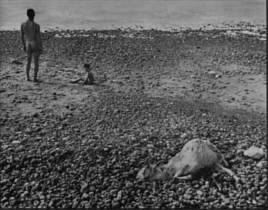 La fotografia la centro della diegesi di Ulysse (1982) © Ciné-Tamaris