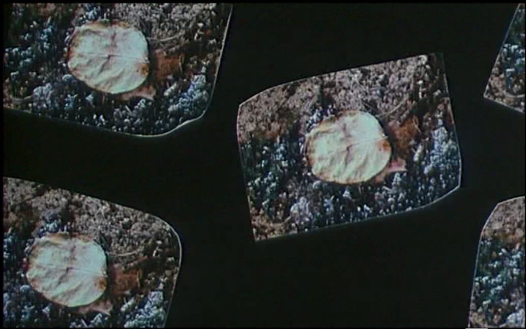  un fotogramma della sigla di apertura di Une minute pour une image (1983) © Ciné-Tamaris