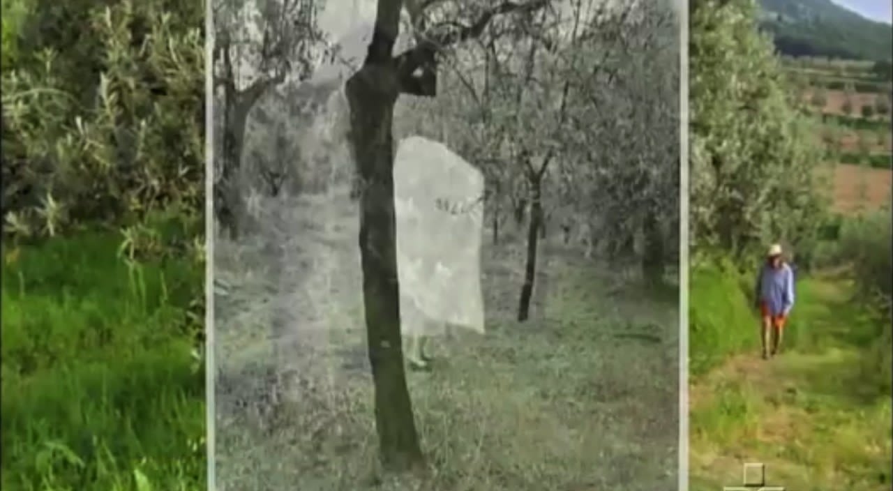 Fotogramma dal film The Woodmans (Scott Willis, 2010) Fotogramma dal film The Woodmans (Scott Willis, 2010)