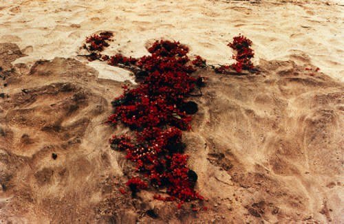 Ana Mendieta, Sin titulo (Siluetas), 1976 Ana Mendieta, Sin titulo (Siluetas), 1976